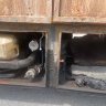 Полуприцеп-цистерна ADR GRUP ADR-3-PLSB Полуприцеп-цистерна ADR GRUP ADR-3-PLSB